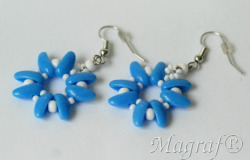 Earrings - 11592