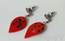 Earrings - 11596