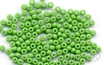 Seed Beads - 11666