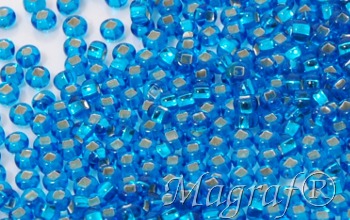 Seed Beads - 12001