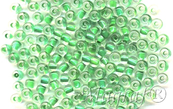 Seed Beads - 12010