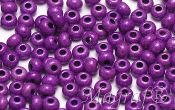 Seed Beads - 12551