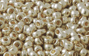 Seed Beads - 12555