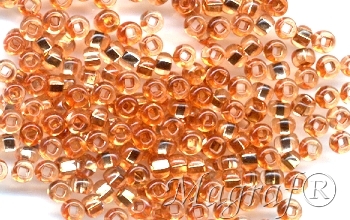 Seed Beads - 12921