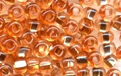 Seed Beads - 12921