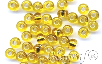 Seed Beads - 13175