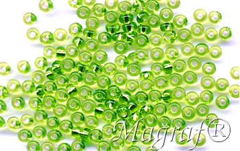 Seed Beads - 13636