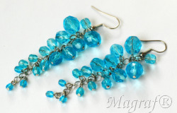 Earrings - 13952