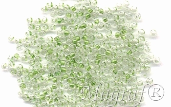 Seed Beads - 13988