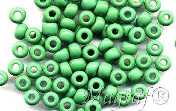 Seed Beads - 14163