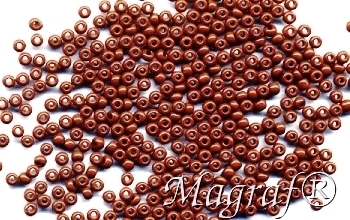 Seed Beads - 14211