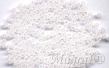 Seed Beads - 14324