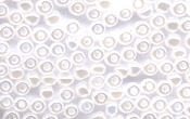 Seed Beads - 14324