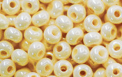 Seed Beads - 14634