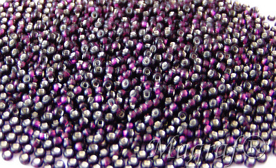 Seed Beads - 14828