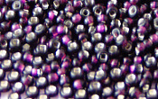 Seed Beads - 14828