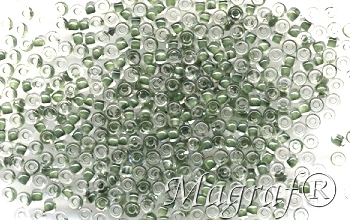 Seed Beads - 14835