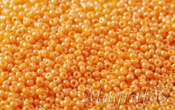 Seed Beads - 15044