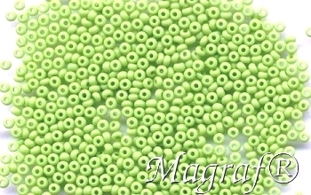 Seed Beads - 15216