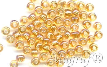 Seed Beads - 15516