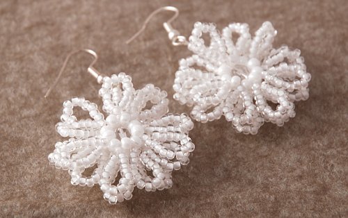 Earrings - 15681