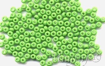 Seed Beads - 16060