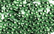 Seed Beads - 16076