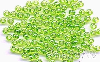 Seed Beads - 16129