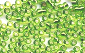 Seed Beads - 16232