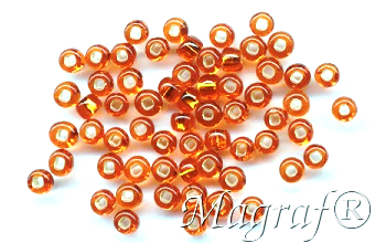 Seed Beads - 17043