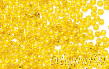 Seed Beads - 17129