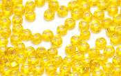 Seed Beads - 17129