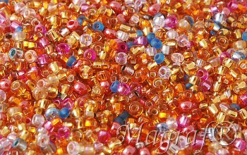 Seed Beads - 17169