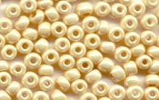 Seed Beads - 17381