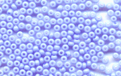Seed Beads - 17534