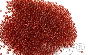 Seed Beads - 17552