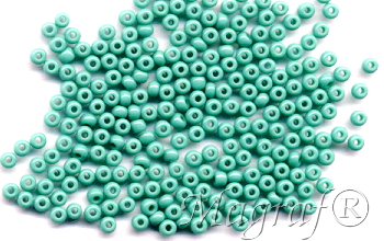 Seed Beads - 17573