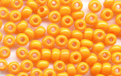 Seed Beads - 17574