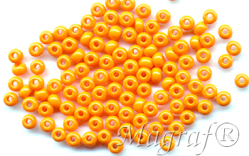 Seed Beads - 17575