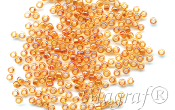 Seed Beads - 17863