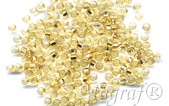 Seed Beads - 17870