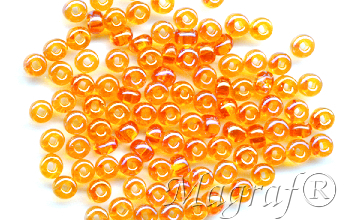 Seed Beads - 17879