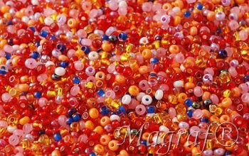 Seed Beads - 17979