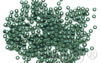 Seed Beads - 18098