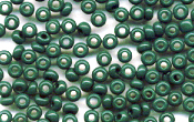 Seed Beads - 18098