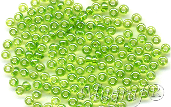 Seed Beads - 18110