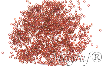 Seed Beads - 18153