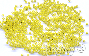 Seed Beads - 18231