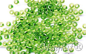 Seed Beads - 18279