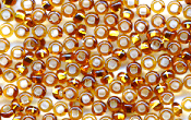 Seed Beads - 18353
